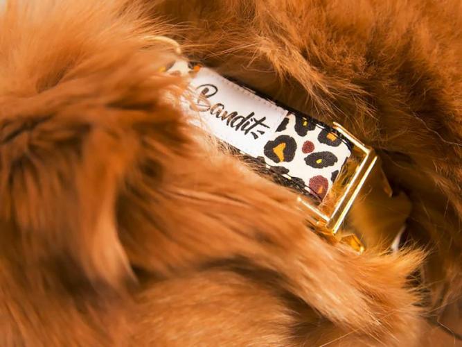 Hundehalsband Wild Wild Wouf, 23-30 cm