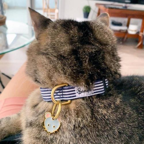 Katzenhalsband In The Navy, 23-30 cm