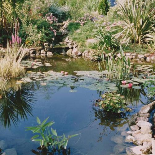 JBL FilterStart Pond  250 g F