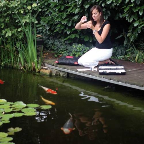 JBL PhosEx Pond Direct 250 ml  D