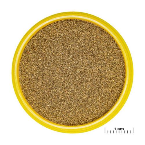 JBL ProNovo Neon Grano XXS 100ml Click