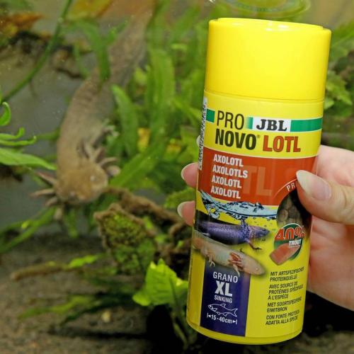 JBL ProNovo Lotl Grano XL 250ml