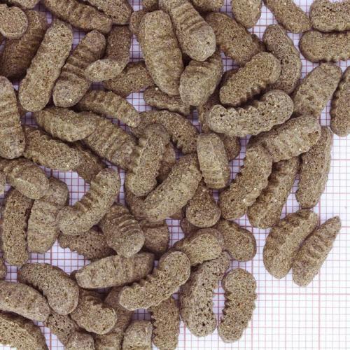 JBL ProPond Silkworms M 1,0kg