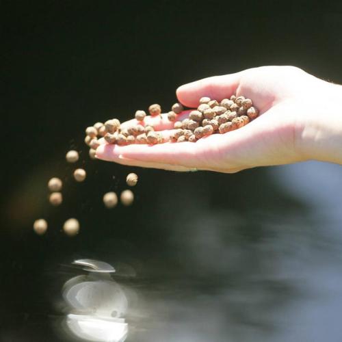 JBL ProPond Staple S 0,34kg