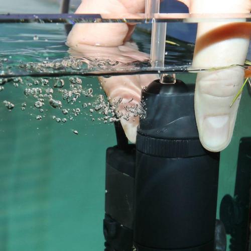 JBL ProCristal i30 GreenStop 6x