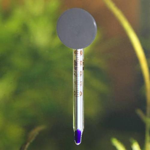 JBL Aquarien-Thermometer Mini, 60 mm