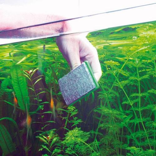 JBL Blanki nettoyeur de vitres d'aquarium, F