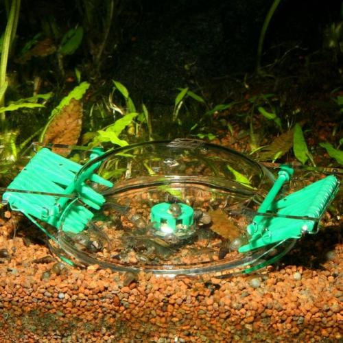 JBL LimCollect, 11.7 x 9 cm H 2.5 cm