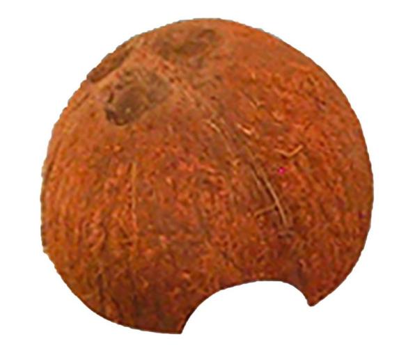 jbl-cocos-cava-105-x-75-cm-h-105-cm12-l-82963