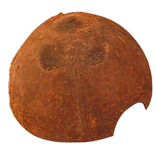 jbl-cocos-cava-93-x-7-cm-h-93-cm-12-m-82962