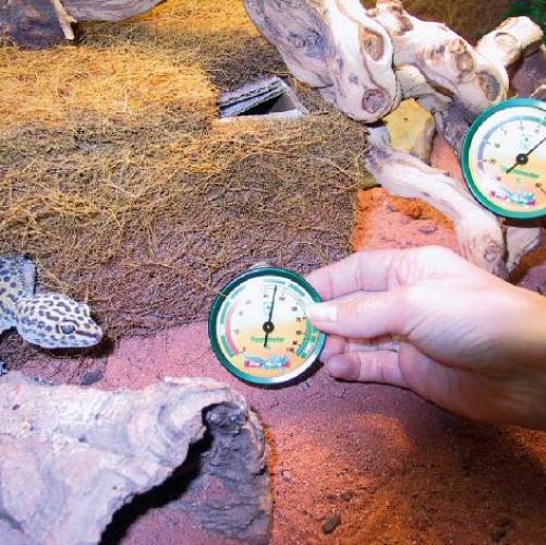 JBL TerraControl (1x Hygrometer + 1x Thermometer)