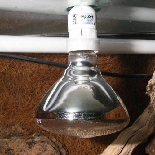 jbl-solar-uv-spot-plus-160-w-e27-82753