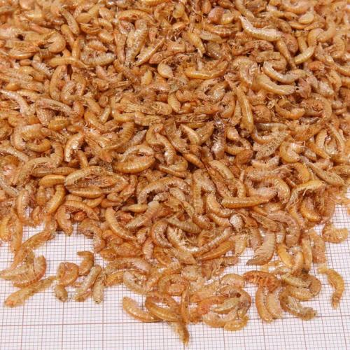 JBL ProTerra Gammarus 250ml