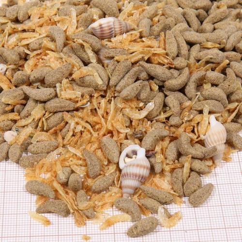 JBL ProTerra Molluscus 1000ml