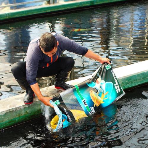 JBL  1 kg Gummiringe für Fischtransportbeutel, Ø 6 cm