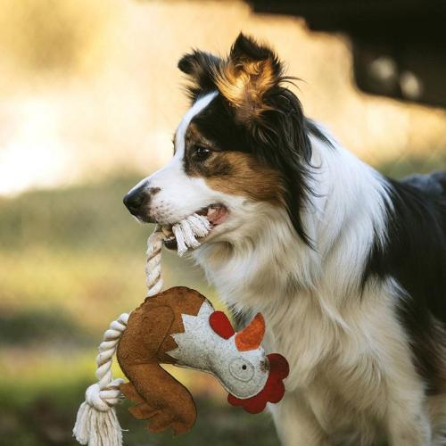 FARM FRIENDS ruby rooster, 37cm