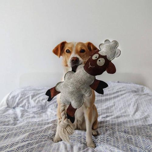 FARM FRIENDS sebastian sheep, 49cm