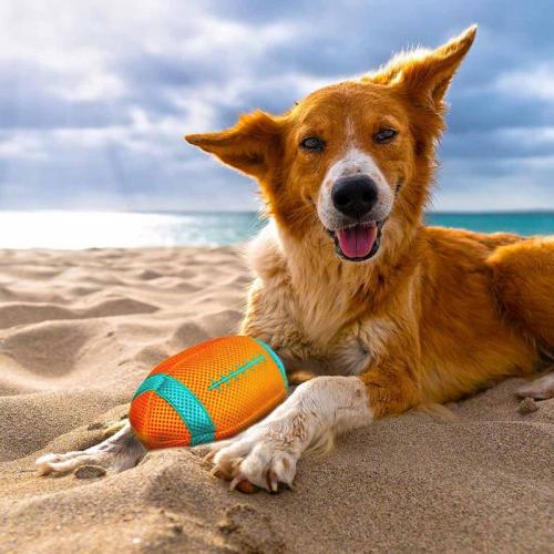 Laroy EBI DuvoPlus Playtime Refresh schwimm. Rugbyball mehrfarbig, 20x11x11cm