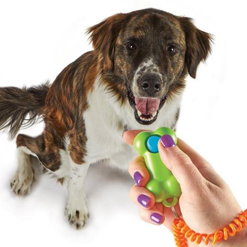 Smarty Pooch Training Clicker: Bone