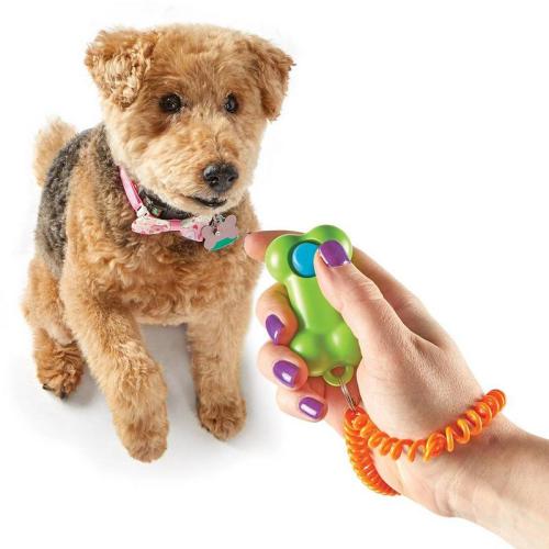 Smarty Pooch Training Clicker: Bone
