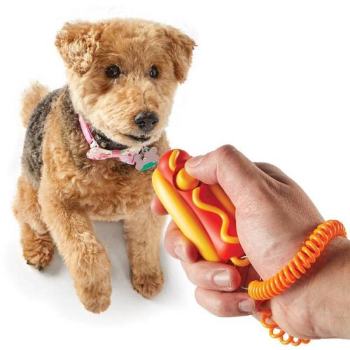 Smarty Pooch Training Clicker: Hot Dog