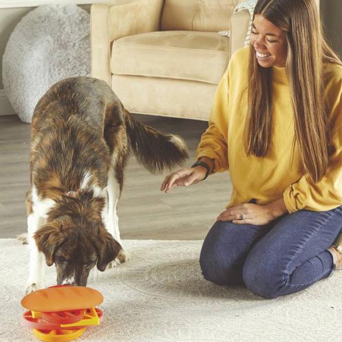 Spinning Pupstrami Treat Puzzle