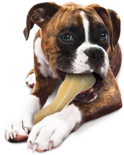Nylabone Extreme Big Chew Beef Bone, 18.5 cm, 360 g