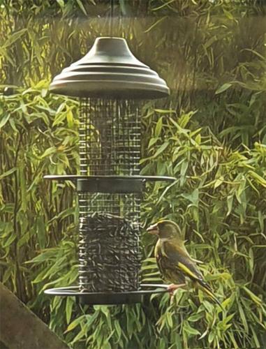 Futter säule mit Sitzringen, Ø 15 x 30 cm, schwarz