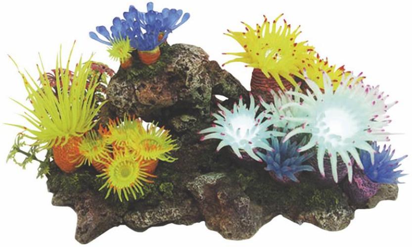 aqua-ornaments-pflanzen-mit-led-277-x143-cm-x-h-14-cm-82000