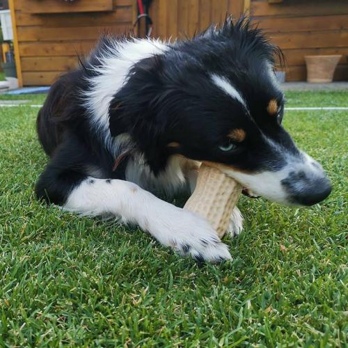 Spielzeug PEANUT mit Duft, 11cm