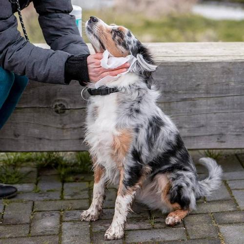 Universal Reinigungstuch, sensitives, 15 Tücher