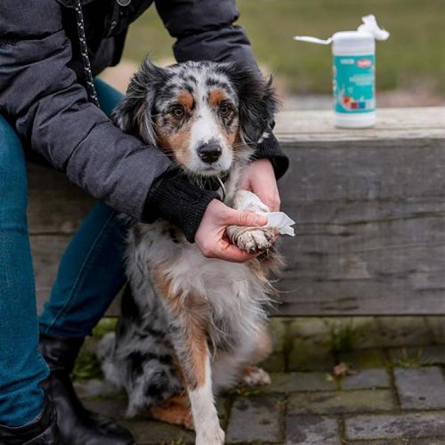 Universal Reinigungstuch, sensitives, 15 Tücher