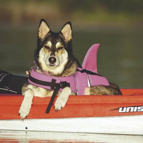Nobby Schwimmweste SHARKI für Hunde S 30 cm Blau