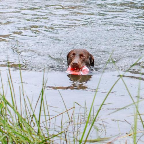 TPR Rettungsring mit Seil, Ø 15 cm