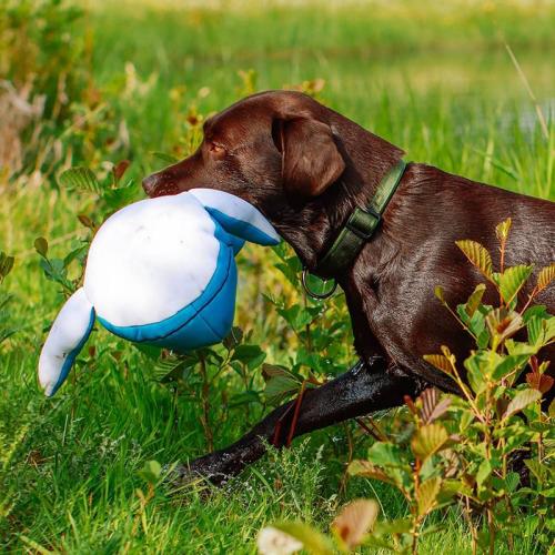 Schwimmender Wal, 48 cm
