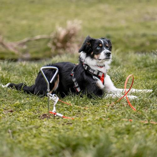 Spiral-Bodenhalter aus Metall, 40 cm Ø 8mm