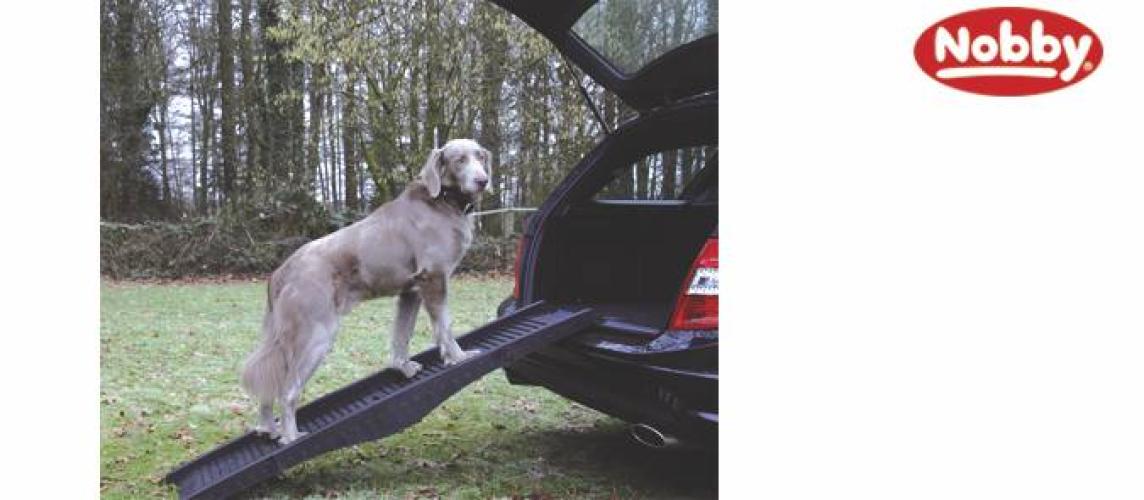 hunderampe-klappbar-40-x-152-cm-3-kg-schwarz-84575