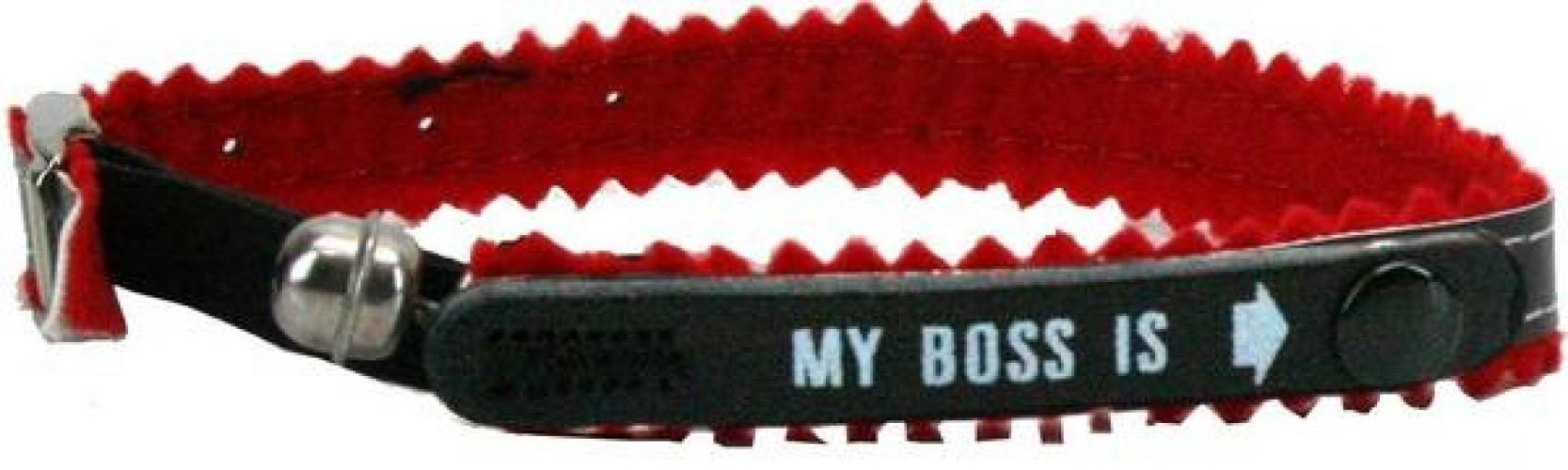 identitats-katzenhalsband-my-boss-is-20-30-cm-10-mm-rot-86085