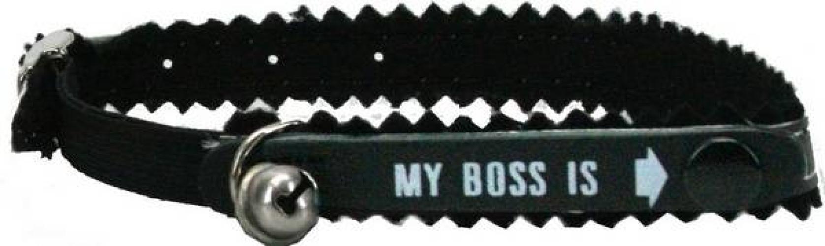 identitats-katzenhalsband-my-boss-is-20-30-cm-10-mm-schwarz-86084