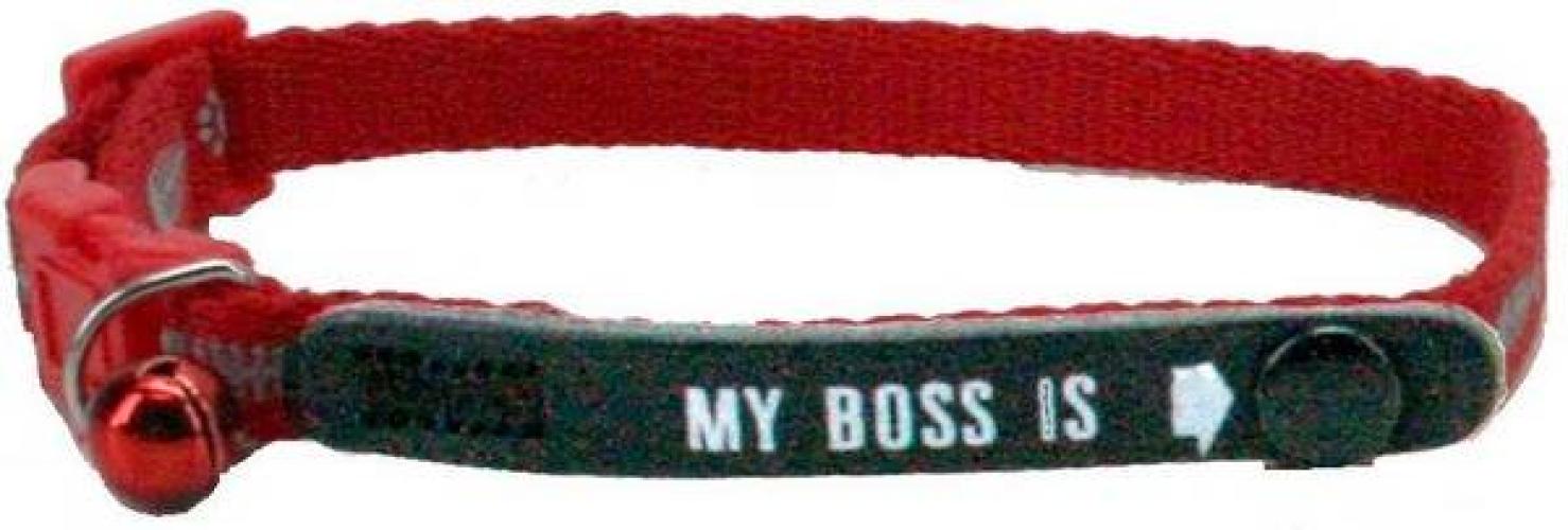 identitats-katzenhalsband-my-boss-is-20-30-cm-10-mm-rot-43125