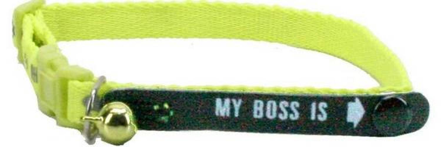 identitats-katzenhalsband-my-boss-is-20-30-cm-10-mm-neongelb-43126