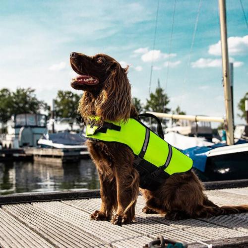 Nobby Rettungsweste für Hunde 40 cm Orange, 23–41 kg