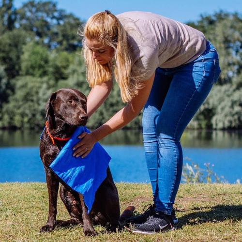 Handtuch Speedy Dry Comfort, hellblau &rosa