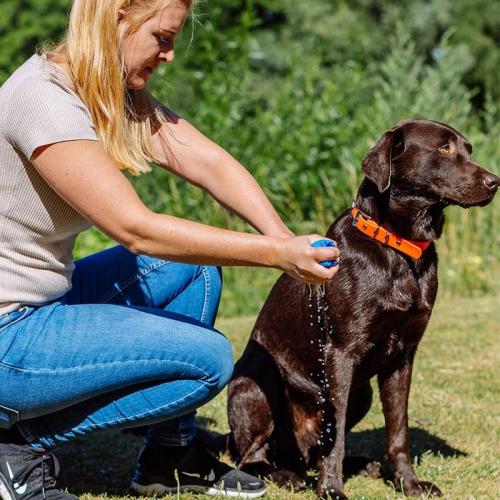 Handtuch Speedy Dry Comfort, hellblau &rosa