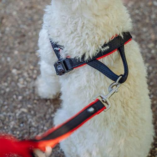 Norvegergeschirr Mesh Preno S-M, 20/25 mm, 36 cm, 38 - 50 cm, gelb