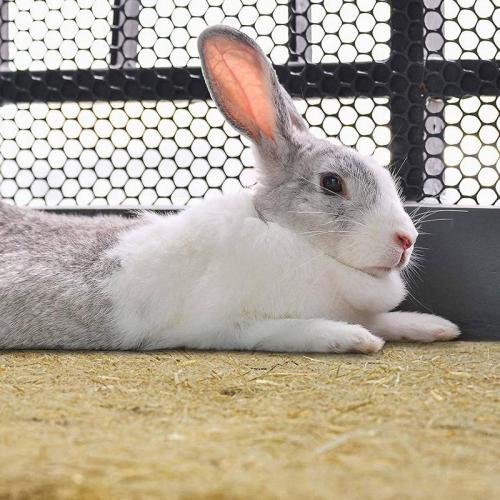 Hanfmatte, 120 x 50 x 1 cm