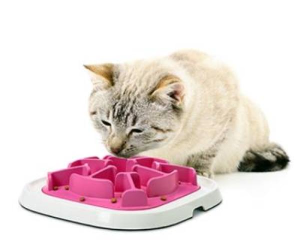 Pet Enigma Medium 10, 32 x 32 x 6.5 cm,Pink