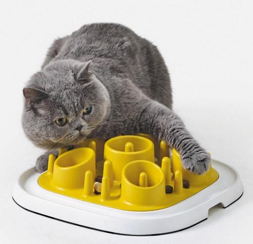 Pet Enigma Medium 11, 32 x 32 x 6.5 cm,Türkis