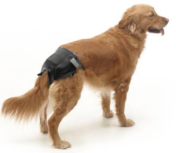 Savic Comfort Nappy Einweg-Windeln für Hunde in schwarz