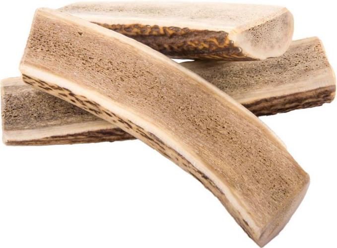 hirschgeweih-fur-hunde-l-15-cm-100-130-cm-84900